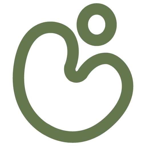 Favicon TopFysio Sneek